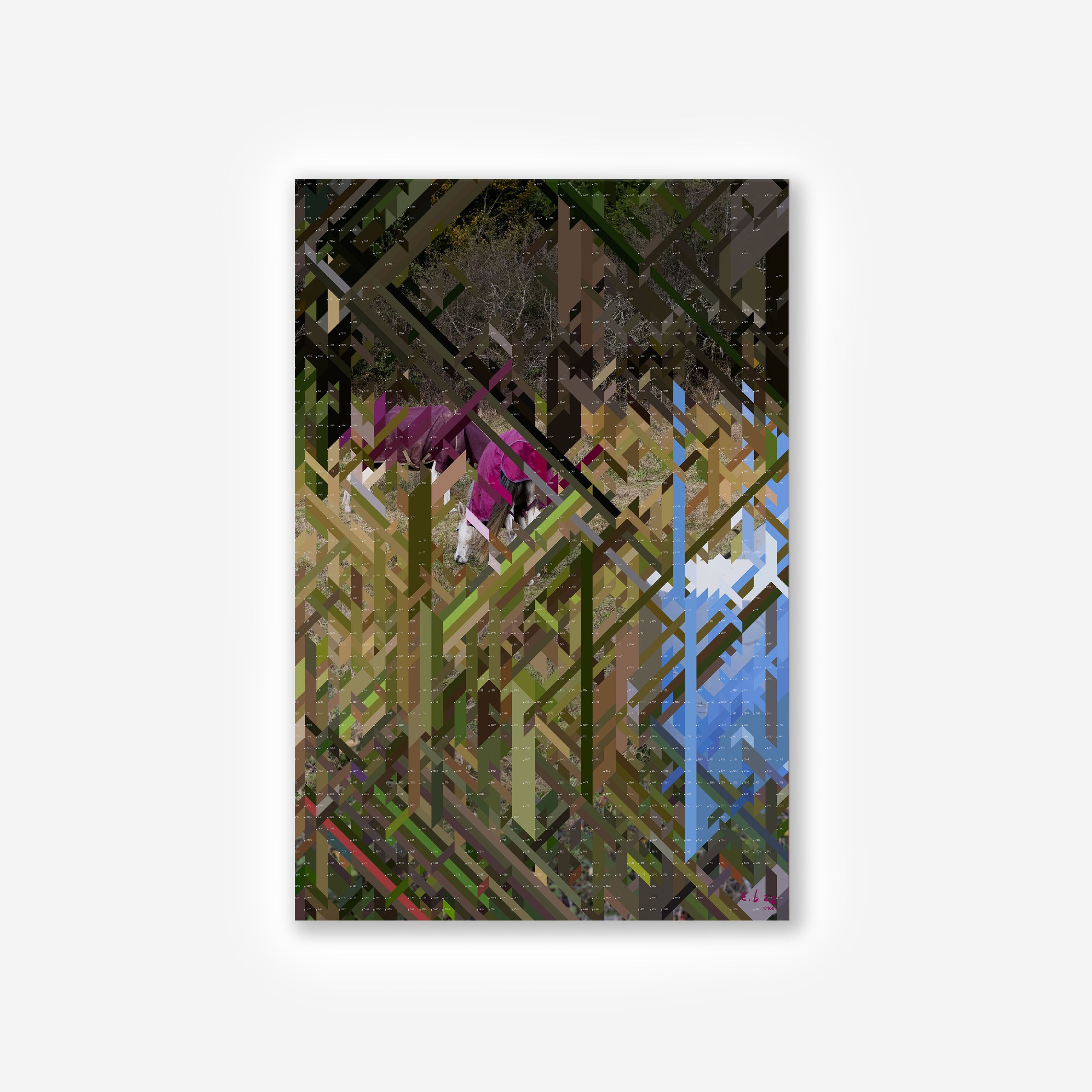 Two Purple Dressed Horses – Edition – Wrong Shop